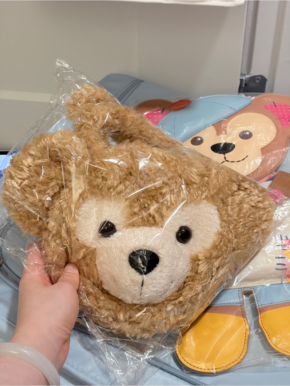 Disney Duffy plush bag